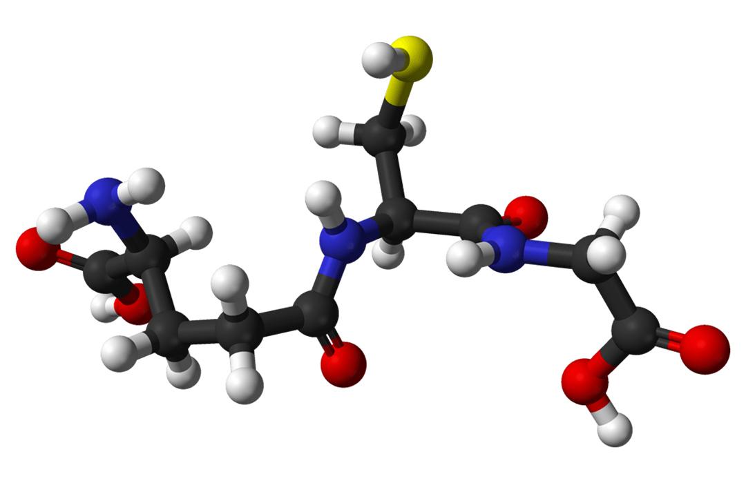 3D model of glutathione molecule