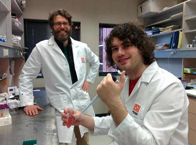 Ryan A. Mehl and Robert J. Blizzard working in lab