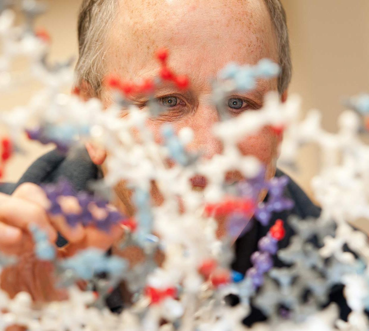 Andy Karplus looking through model of molecules