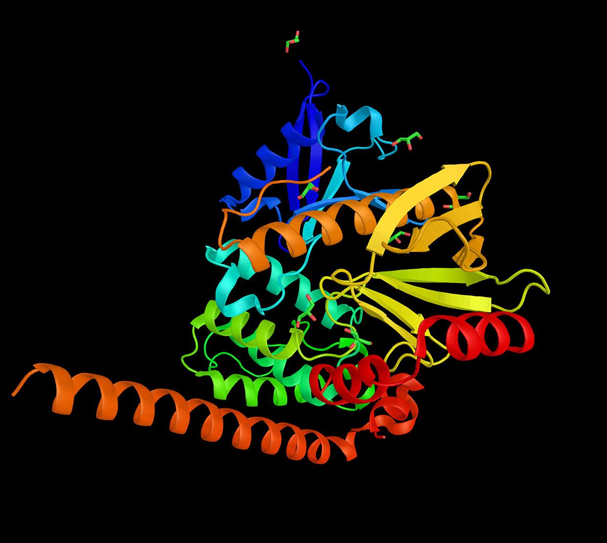 3d model of calprotectin protein