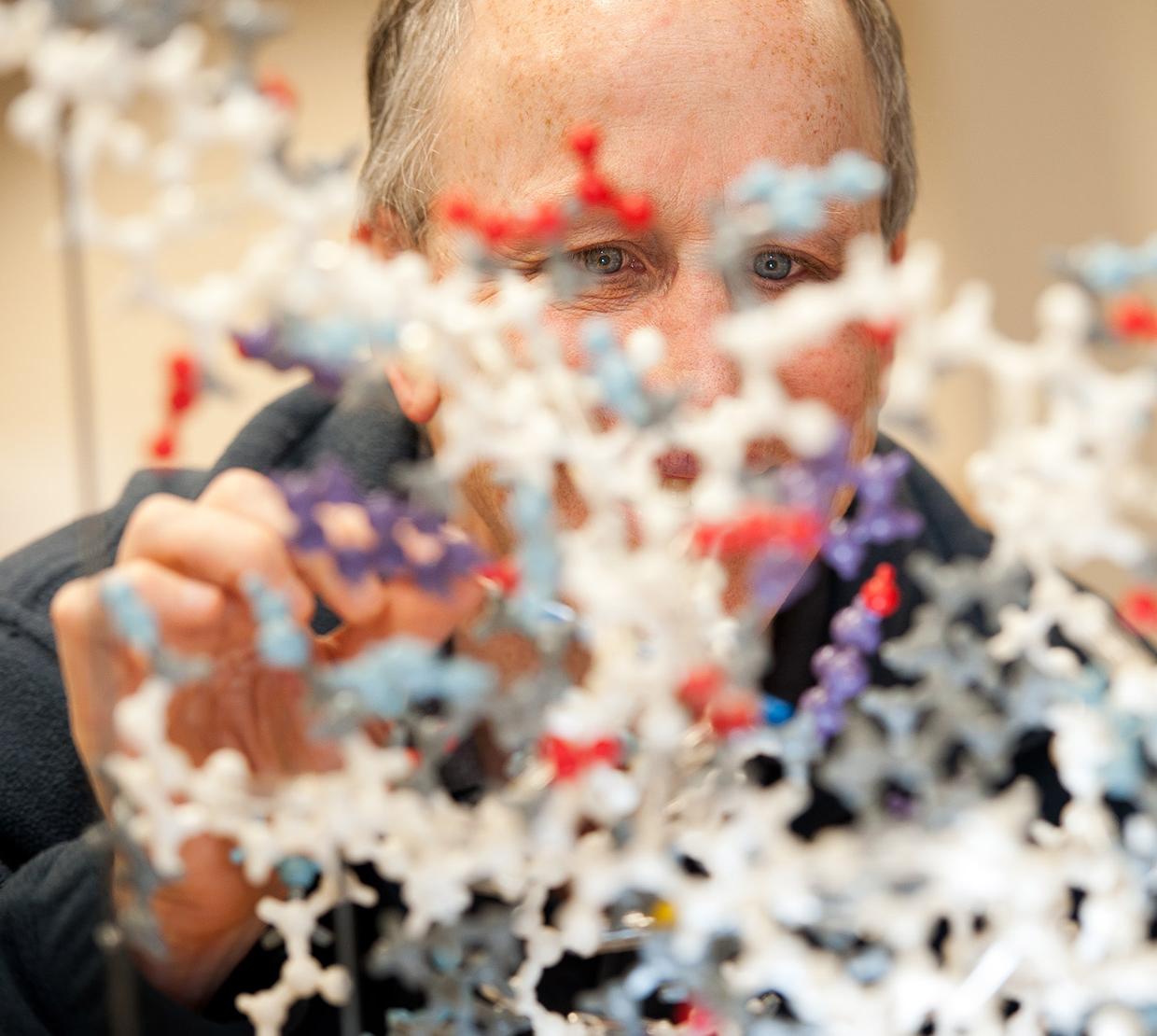 Andy Karplus looking into 3D diagram of molecules