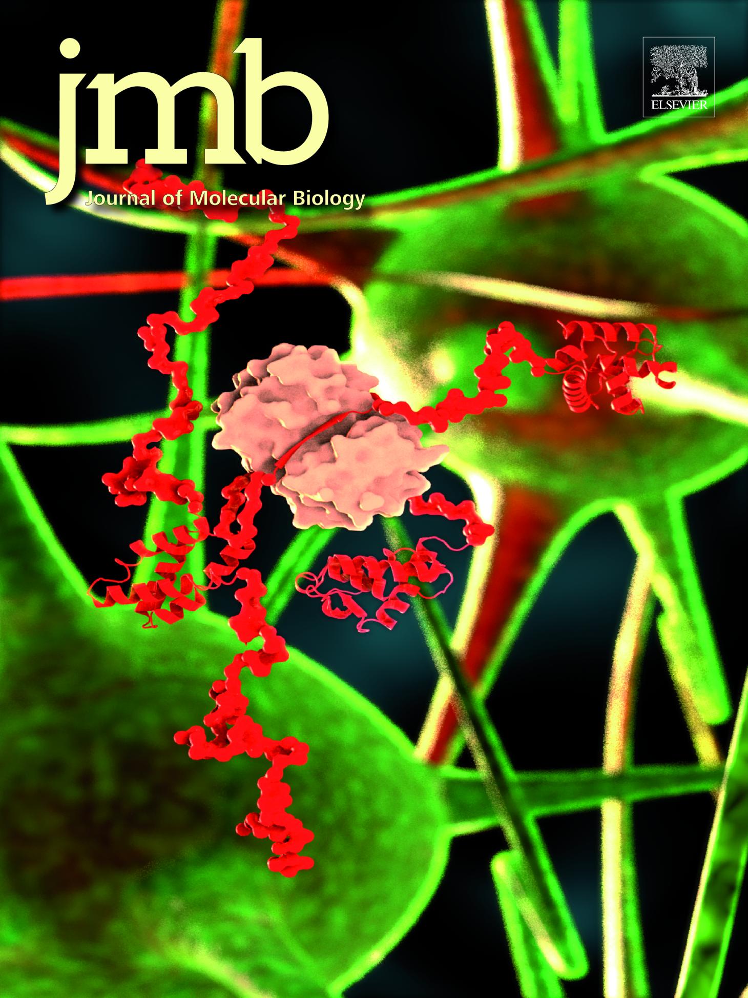 Cover of the Journal of Molecular Biology.