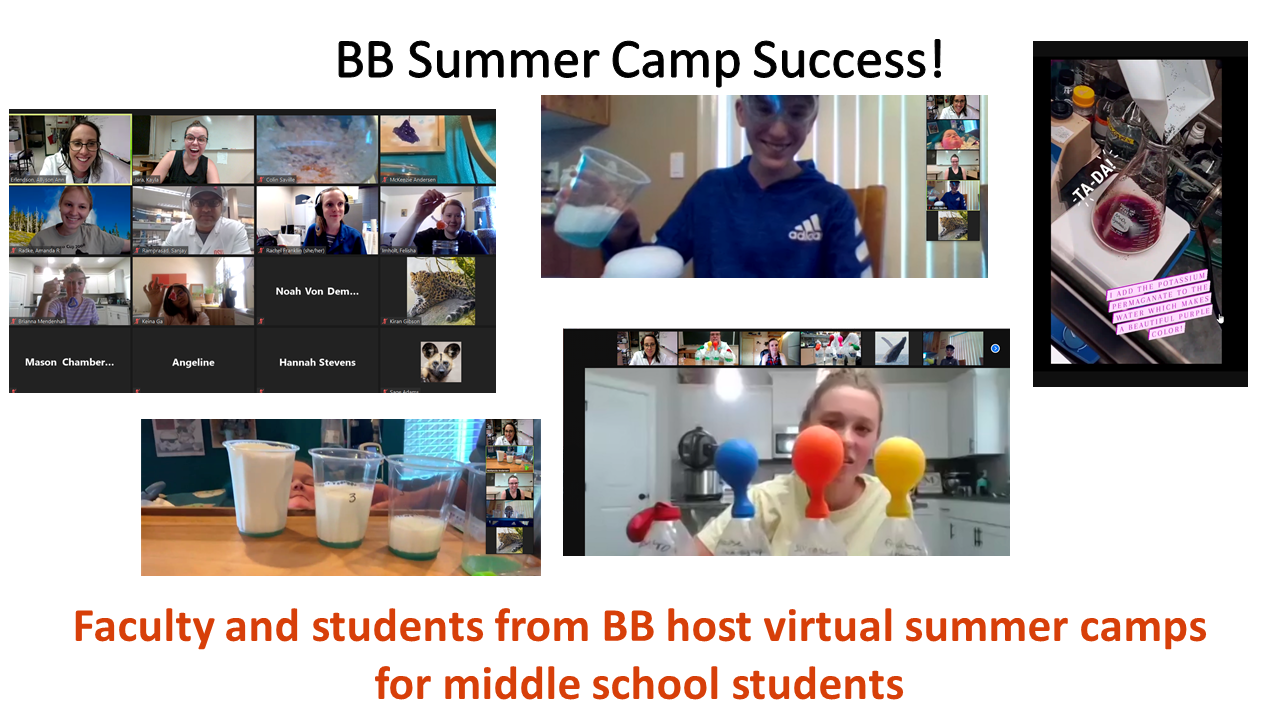 Students participating in virtual summer classes through Zoom.