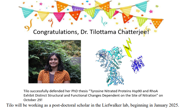 Tilottama Chatterjee defending thesis.