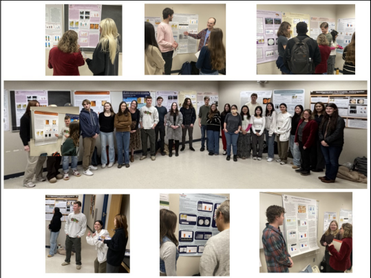 Students reading posters.