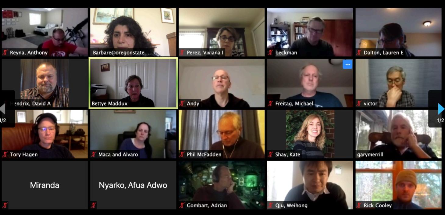 Zoom meeting screenshot.
