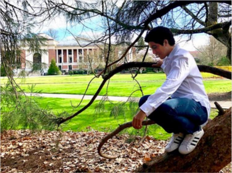 Man sitting on tree.