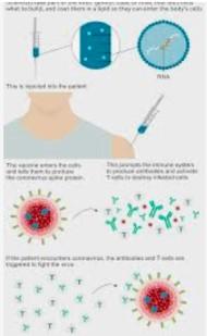 Vaccine impact image.