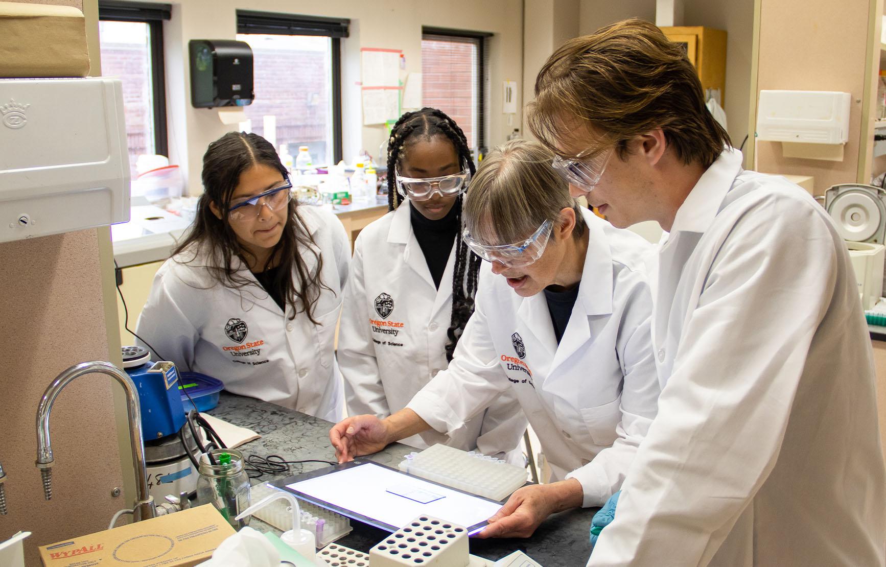 Kari Van Zee working with students in her lab