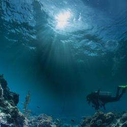 Diver underwater.