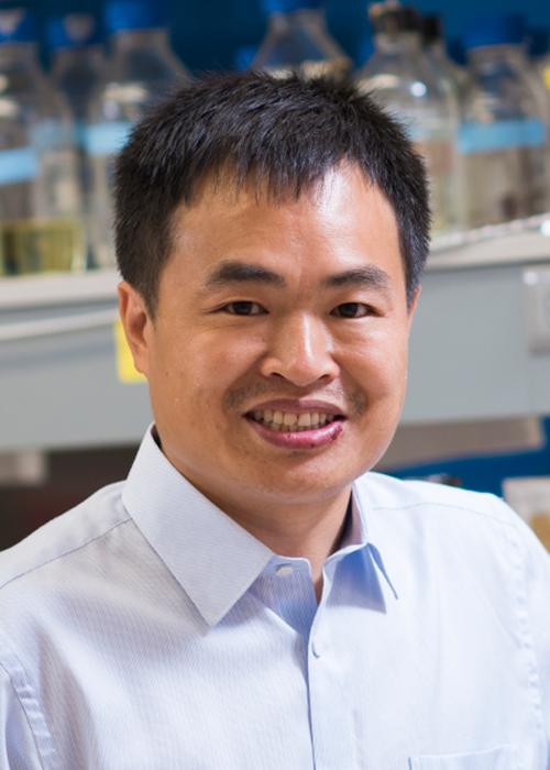 Weihong Qui standing in lab space