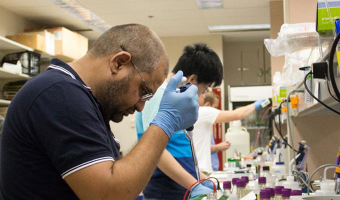 students and volunteers working in genetic code lab