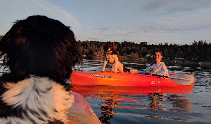 Brittany Lasher in a kayak on a river with dogs.