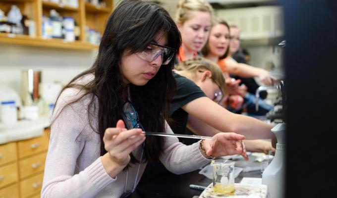 Young woman working in lab with other students.