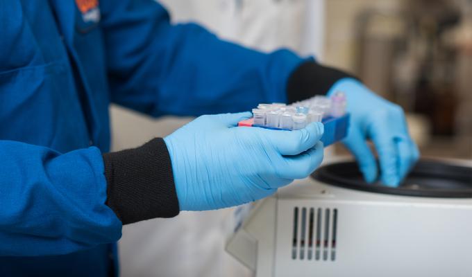 Photo of someone with blue gloves holding a sample in a lab.