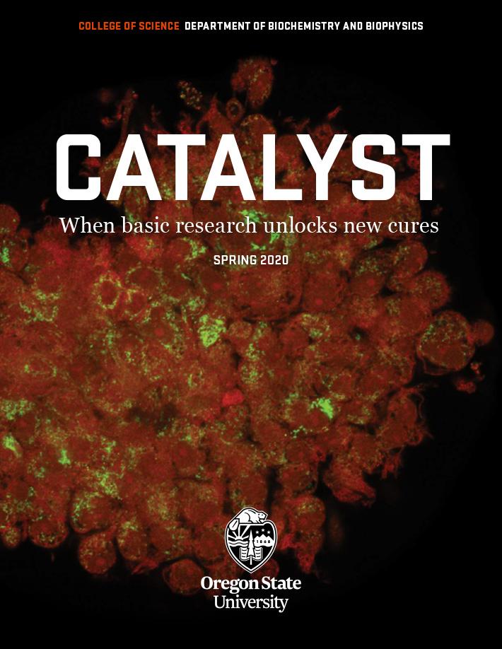 Catalyst Spring 2020 Cover