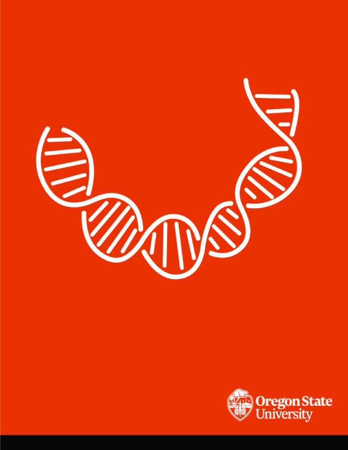 Icon of a DNA strand for the cover of the BB Newsletter.